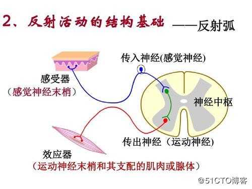 09-06 反射、内置方法