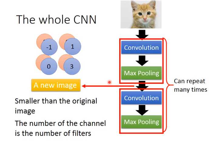 convolutional neural network