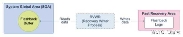 Oracle Database 19c 技术架构（五）