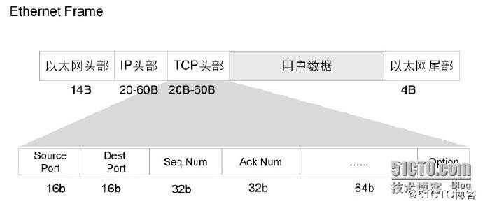 TCP Segment