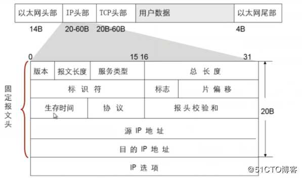 IP报文