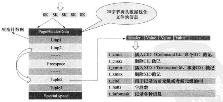 技术图片