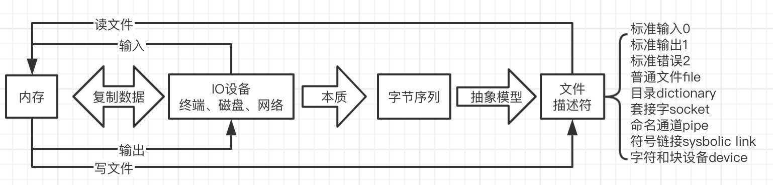 输入、输出、文件