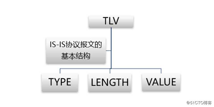 IS-IS协议的内容介绍