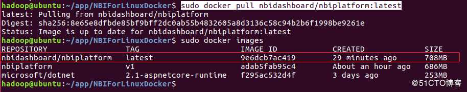 从dockerhub拉取NBI可视化产品镜像