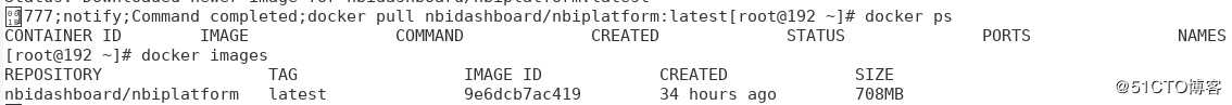 从dockerhub拉取NBI可视化产品镜像