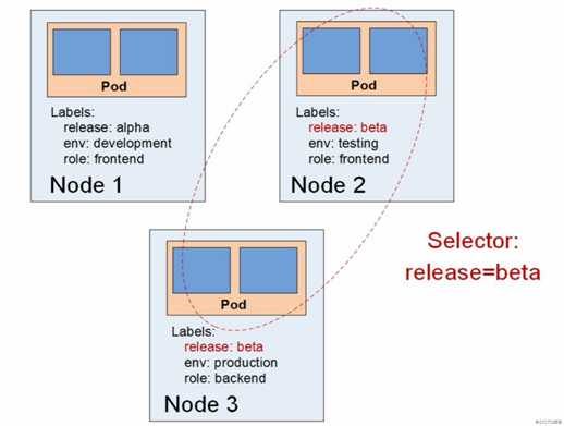 k8s之pods