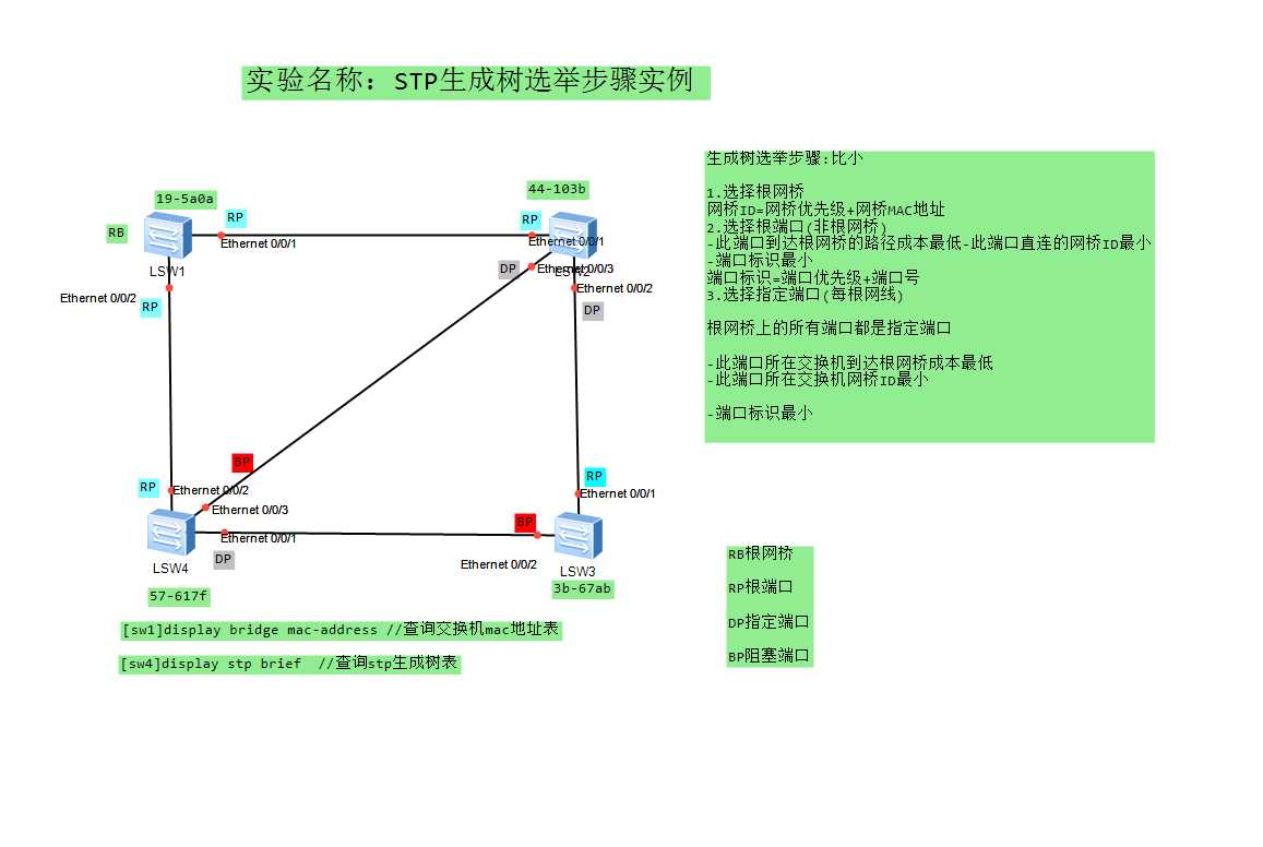 STP生成树选举