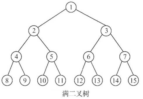 二叉树概念及遍历