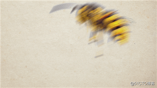 蜜蜂灭绝后，人类只能活四年？