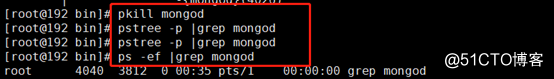 Mongodb数据库的搭建和相关使用命令