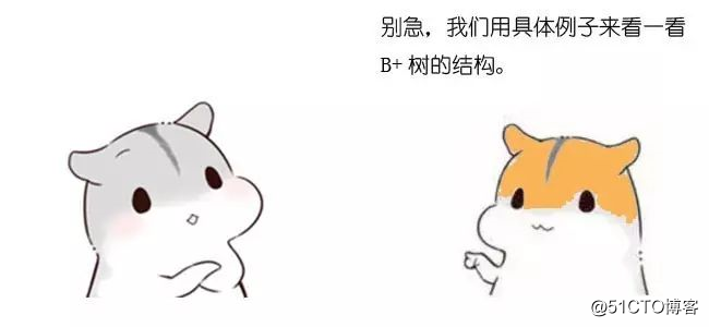 漫画：什么是B+树？