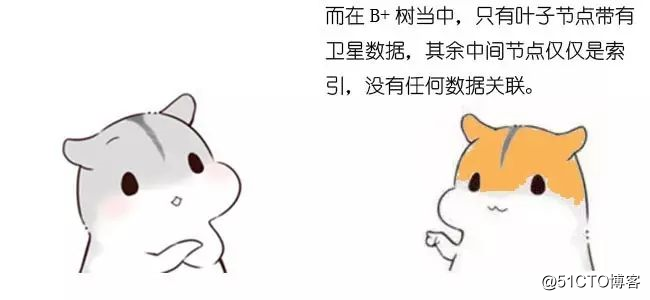 漫画：什么是B+树？