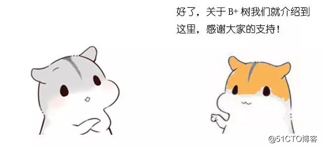 漫画：什么是B+树？