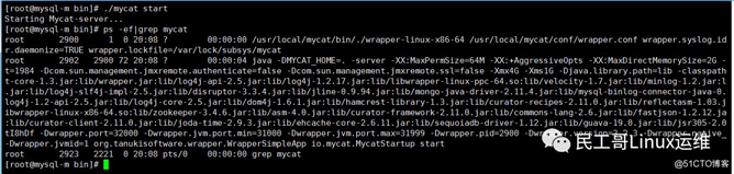 Mysql+Mycat实现数据库主从同步与读写分离