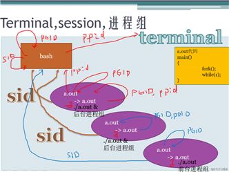 宋宝华： 一图理解终端、会话、 进程组、进程关系