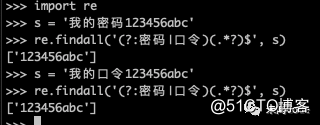 一日一技：一个括号两种意思，正则表达式奇怪的小括号