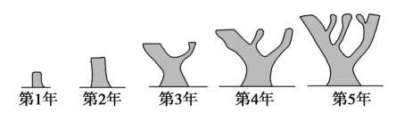 技术图片